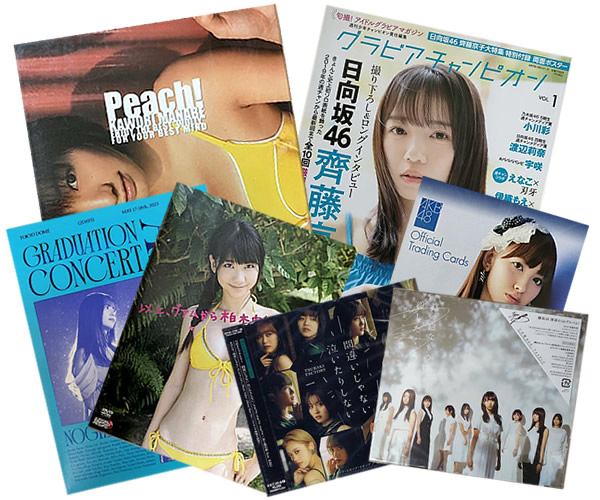 女性アイドル写真集、グラビアDVD