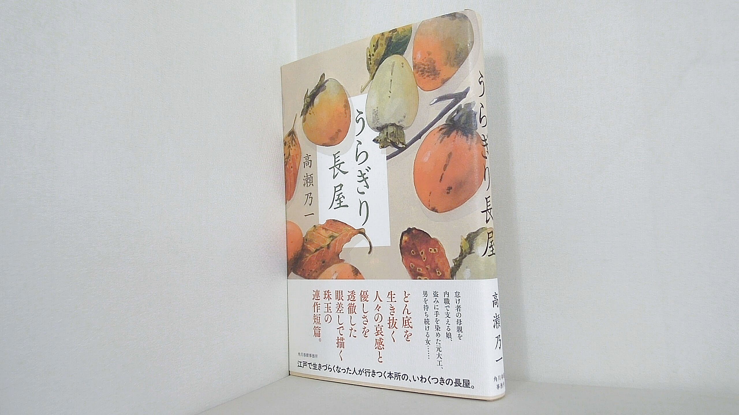 うらぎり長屋の買取実績