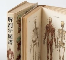 古い医学専門書