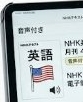 電子版