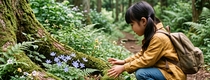 ポケモンソフト、攻略本、DVD